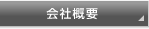 ЊTv